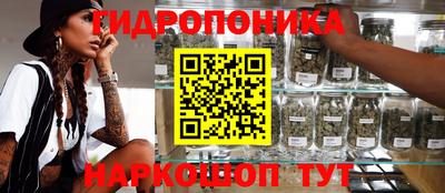 крисы Будённовск