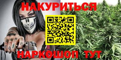 крисы Будённовск