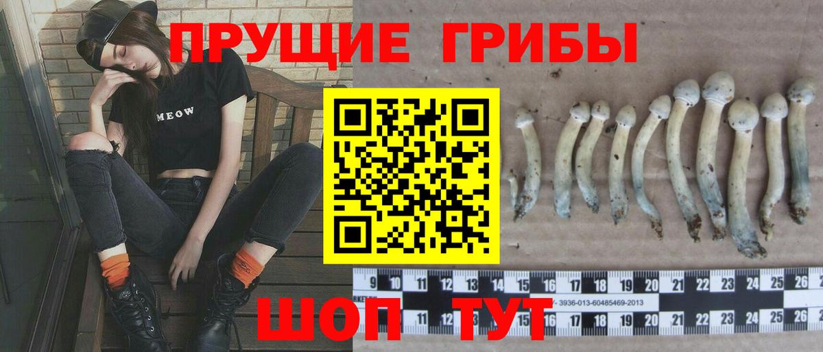 Псилоцибиновые грибы Cubensis Озёры