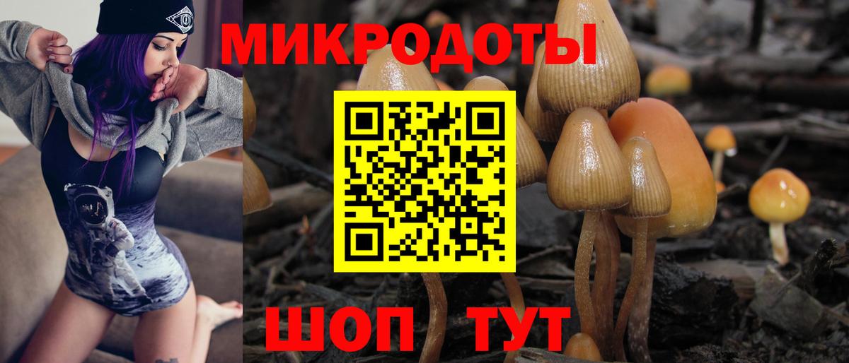 Псилоцибиновые грибы мухоморы  Вход с VPN  где купить   Озёры 